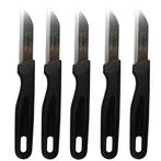 Solingen Schilmesjes – RVS – Extra scherp – Ophangoog, Ophalen of Verzenden, Nieuw, Rvs of Chroom, Bestekset