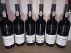 2011 Taylors - Vintage Port - Gebotteld in 2013 -  Douro  -, Verzamelen, Wijnen, Nieuw