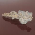 Spectaculaire Fulgurita. Topkwaliteit. Sculpturaal Impact, Verzamelen