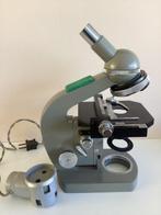 Monocular compound microscope - E 209810 + 3 objectieven + 2