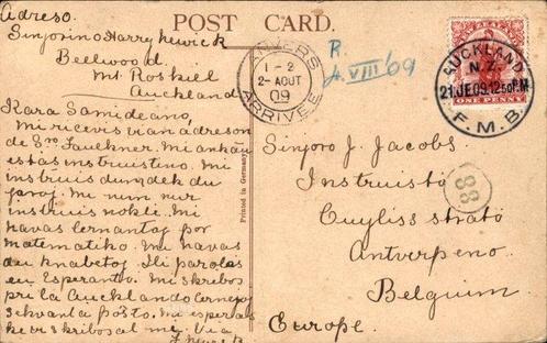 Nieuw-Zeeland - Oceanië - Ansichtkaart (42) - 1900-1965, Verzamelen, Ansichtkaarten | Buitenland