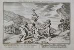 Ovid - Ovidii Metamorphosis - 150 gravures - 1688