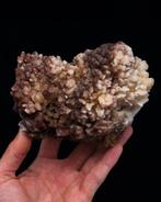 Arborescent calciet op limoniet - Hoogte: 9.6 cm - Breedte: