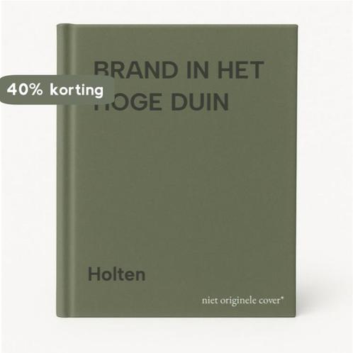 BRAND IN HET HOGE DUIN 9789050303163 Holten, Boeken, Kinderboeken | Jeugd | 13 jaar en ouder, Gelezen, Verzenden