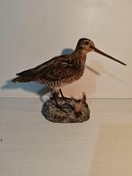 Watersnip Taxidermie volledige montage - Gallinago gallinago, Nieuw
