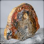 Natuurlijke handgepolijste plak Versteend hout- 3990.22 g