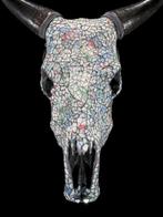 Geen veilingminimum - Indrukwekkende koeienschedel met
