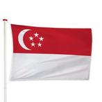Singaporese Vlag 40x60cm, Verzenden, Nieuw