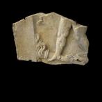 Oud-Romeins Marmer Relief sarcofaag - RELIEF SARCOFAAG.