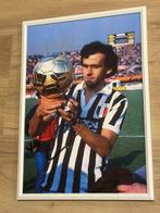 Juventus - Italiaanse voetbal competitie - Michel Platini -, Nieuw