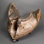 Mammoet Kaak vastgezet - Mammuthus sp. - 42.5 cm - 40 cm -, Verzamelen, Dierenverzamelingen, Nieuw