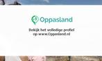 Ik ben Zahra, 37 jaar oud en ik zoek oppaswerk in Bussum.