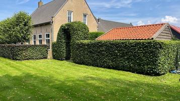 Tuin onderhoud beschikbaar voor biedingen