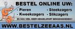 Online zeeaas bestellen, Watersport en Boten, Hengelsport | Algemeen, Nieuw, Overige typen