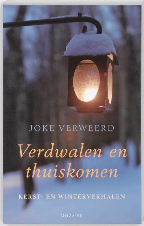 Verdwalen en thuiskomen 9789023993049 Joke Verweerd, Boeken, Literatuur, Gelezen, Verzenden