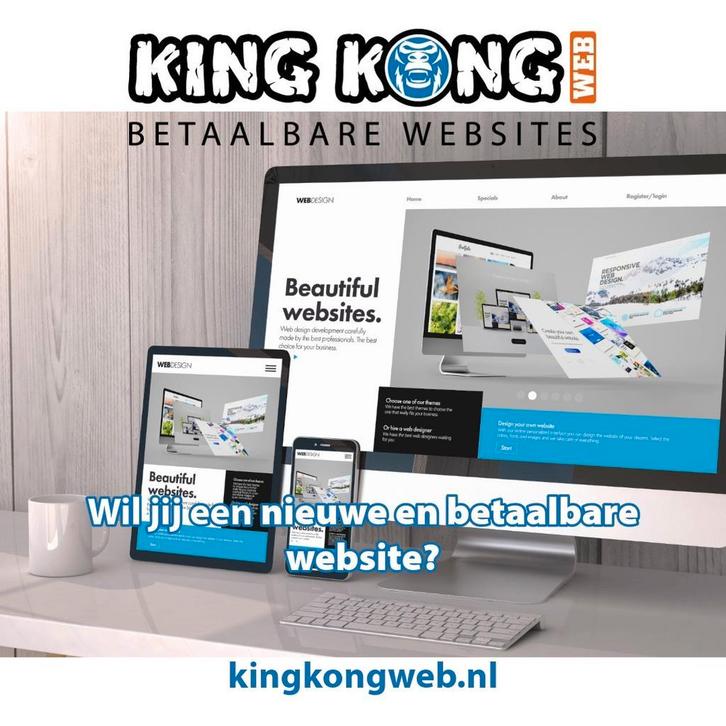 Tijdelijk een website voor 399euro! - Website laten maken, Diensten en Vakmensen, Webdesigners en Hosting, Domeinregistratie, Webdesign