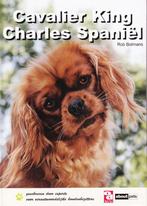 Cavalier King Charles spaniël / Over Dieren 9789058216113, Verzenden, Gelezen, R. Bolmans