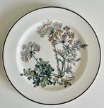 Villeroy & Boch - Bord (6) - Botanica - Porselein, Antiek en Kunst