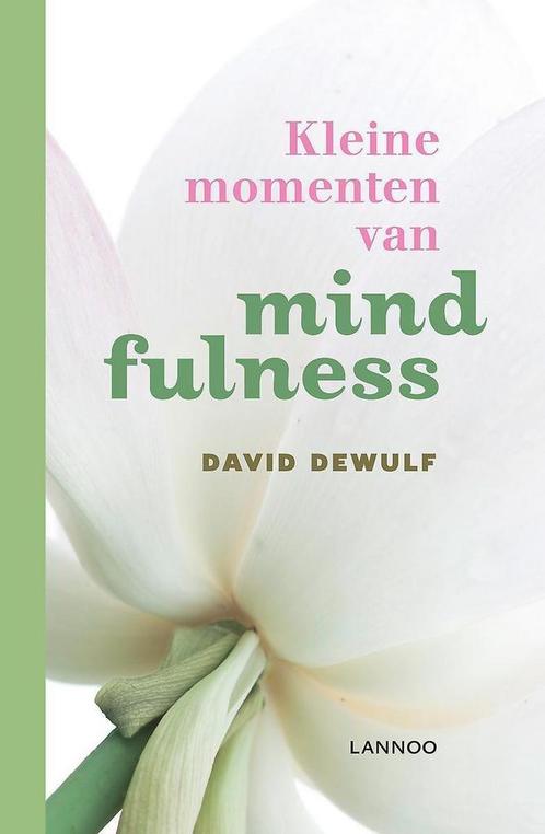 Kleine momenten van mindfulness - David Dewulf - 97890209421, Boeken, Esoterie en Spiritualiteit, Verzenden