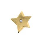 Gouden ster hanger met diamant | 0,14 ct. (subtiele hanger), Ophalen of Verzenden, Gebruikt, Goud, Overige merken
