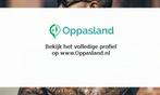 Jason zoekt een oppas in Amsterdam voor 2 kinderen.
