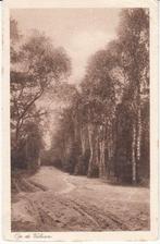 VELUWE - Op de Veluwe, Boslaantje, Verzenden, Gelopen