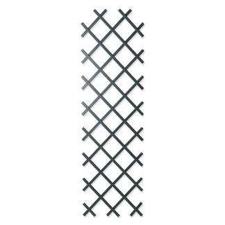 Klimrek planten | Nature | 150 x 50 cm, Tuin en Terras, Planten | Tuinplanten, Verzenden