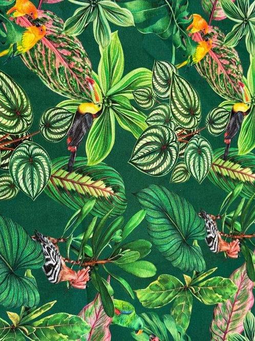 Lied van het Woud: een tropische explosie tussen veren en, Antiek en Kunst, Antiek | Kleden en Textiel