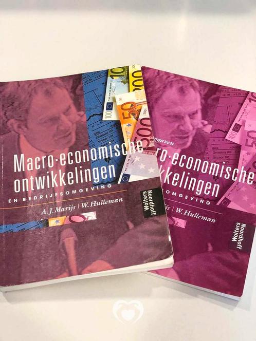 Macro-economische ontwikkelingen en bedrijfsomgeving, Boeken, Studieboeken en Cursussen