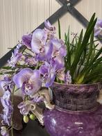 Vaas met kunst bloemen 0rchidee paars &amp; wit, Huis en Inrichting, Ophalen, Nieuw, Binnen