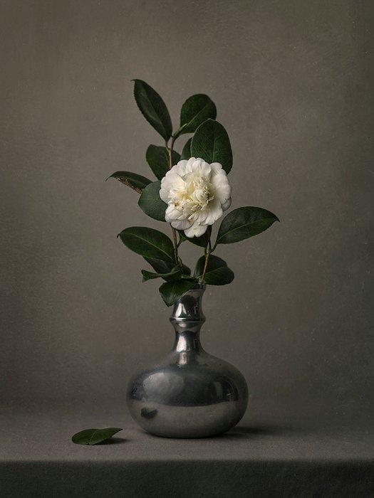 Tessa Posthuma de Boer - Camelia #2, Antiek en Kunst, Kunst | Designobjecten