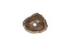 Fossiel Waskom 46x38x15 cm | Versteend Hout, Huis en Inrichting, Verzenden, Nieuw, Wastafelkast