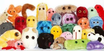 Pluche Knuffel microben (Giant Microbes) en Knuffel organen. beschikbaar voor biedingen