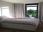 Kamer Sint Annadal in Maastricht, Overige soorten, Limburg
