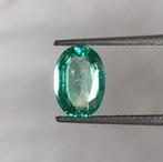 1 pcs Groen Smaragd - 1.48 ct - International Gemological, Nieuw