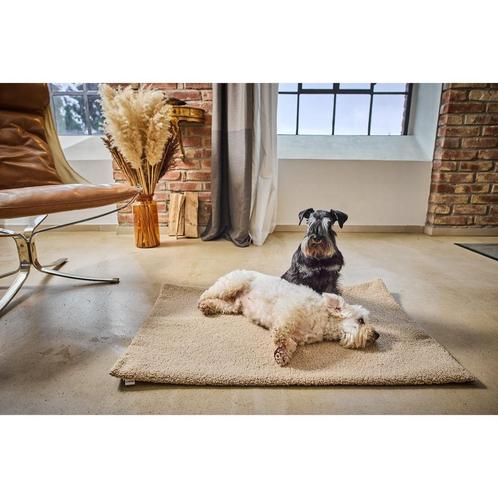 TEDDY - REISDEKEN CRÈME, Dieren en Toebehoren, Honden-accessoires, Nieuw, Verzenden