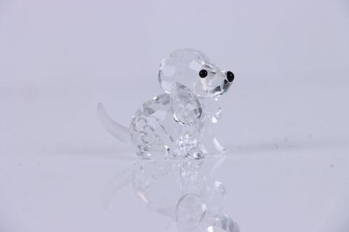 Figuur - Swarovski - Zittende Beagle (Boxed + certificate) -, Antiek en Kunst, Curiosa en Brocante