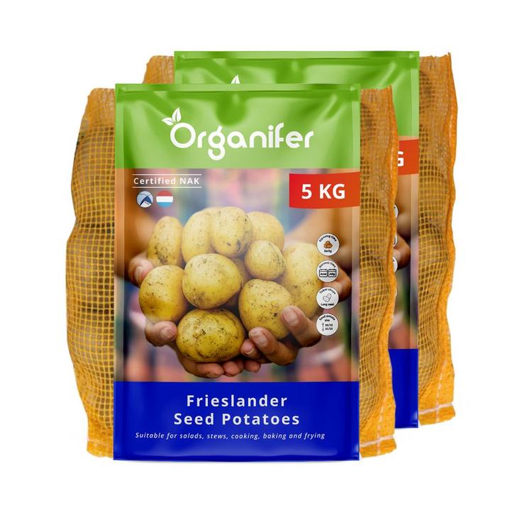Pootaardappelen Frieslander A 28/35 (10 kg), Tuin en Terras, Bloembollen en Zaden, Gehele jaar, Volle zon, Verzenden
