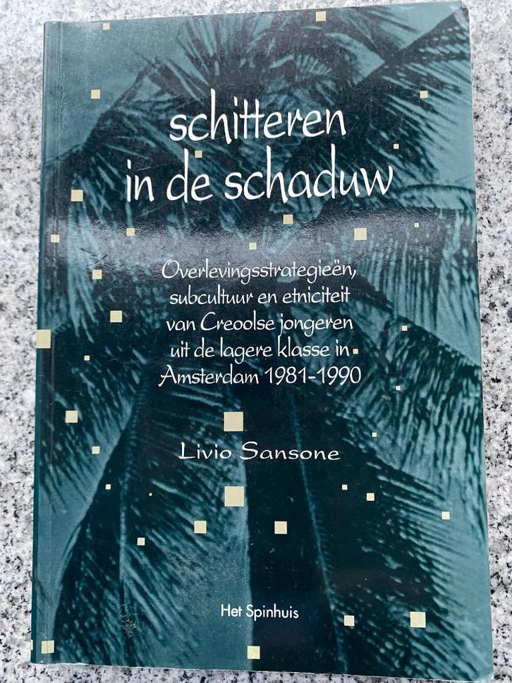 Schitteren in de schaduw (Livio Sansone), Boeken, Politiek en Maatschappij, Maatschappij en Samenleving, Nederland, Gelezen, Verzenden