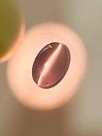 1 pcs Groen Alexandriet - 2.59 ct - nternational Colored, Nieuw