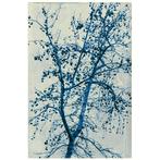 Jorge Omeñaca - In winter time