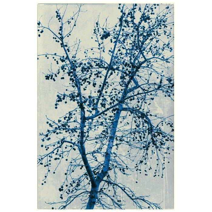 Jorge Omeñaca - In winter time, Antiek en Kunst, Kunst | Designobjecten