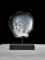 Intricaat gesneden parelmoer schelp - menselijk