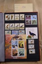 Wereld 1945/2016 - Lot motief vogels in 4 stockboeken + 1, Gestempeld