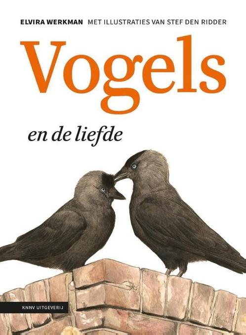 Vogels en de liefde 9789050116077 Elvira Werkman, Boeken, Dieren en Huisdieren, Gelezen, Verzenden