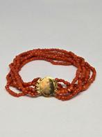 Armband - 14 karaat Geel goud Bloedkoraal - Bloedkoraal -, Sieraden, Tassen en Uiterlijk, Armbanden, Nieuw