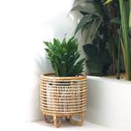 Malang Rotan Plantenstandaard–Boho Charme voor  elk, Verzenden, Nieuw