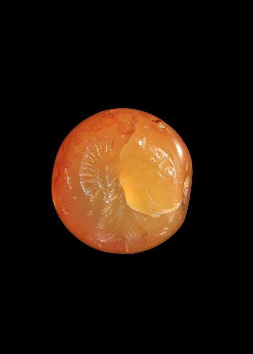 Sasanian Kornalijn Stempelzegel met mannelijk profiel, Antiek en Kunst, Antiek | Overige Antiek