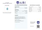 Geen veilingreserve - ALGT-gecertificeerd - Grote en Zeer