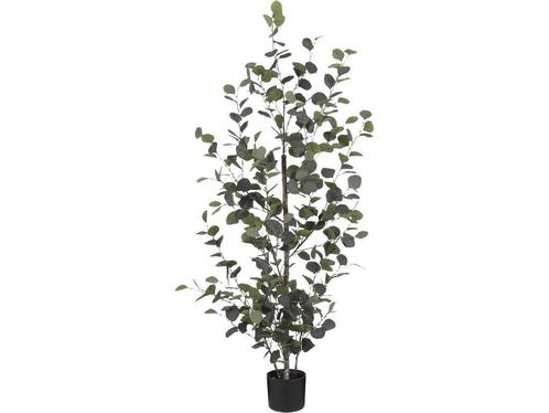 Mica Decorations Eucalyptus Kunstplant in Bloempot - H150 x, Huis en Inrichting, Kamerplanten, Verzenden